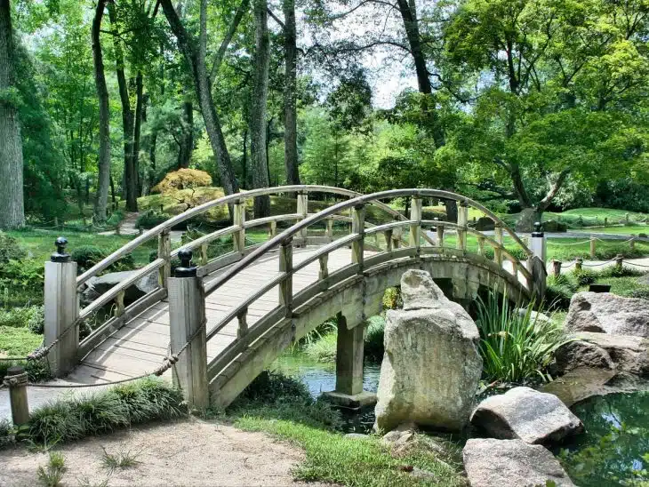 bridge, park, garden