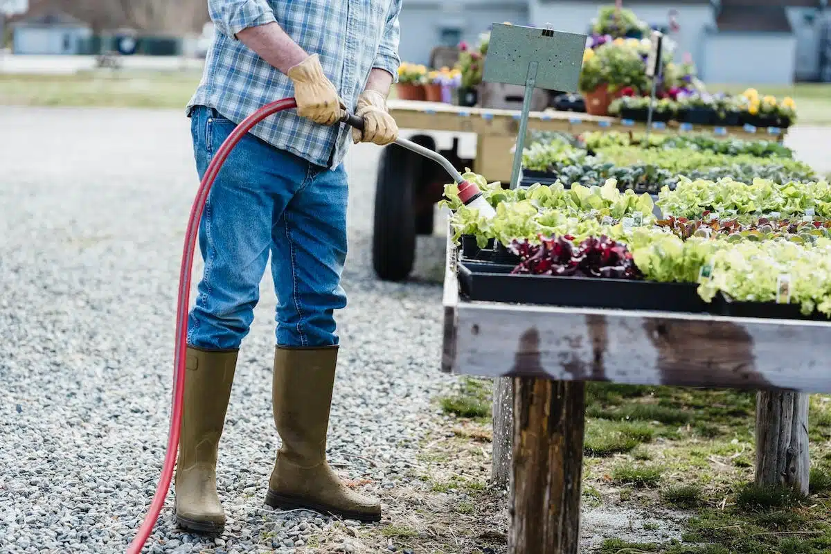 jardinage écologique