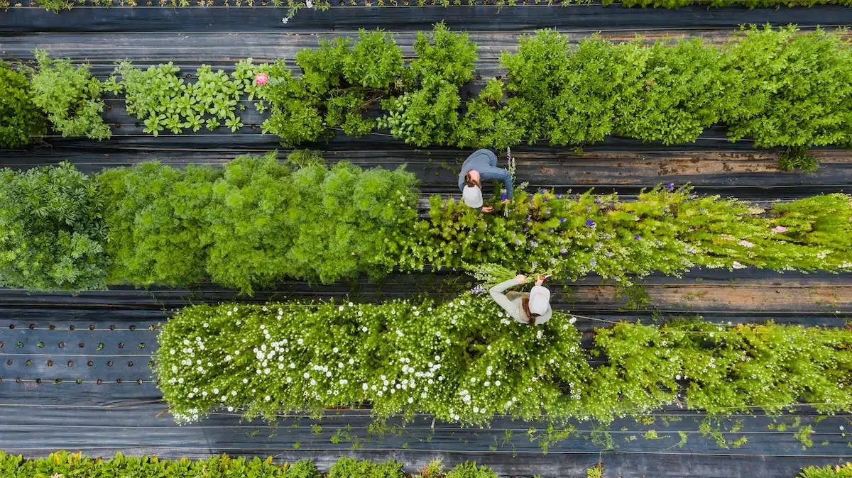 jardin écologique