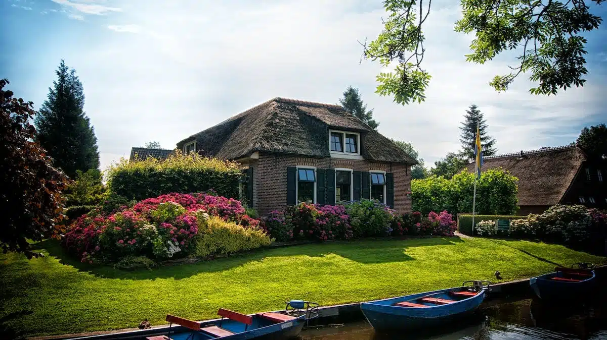 jardinage  aménagement