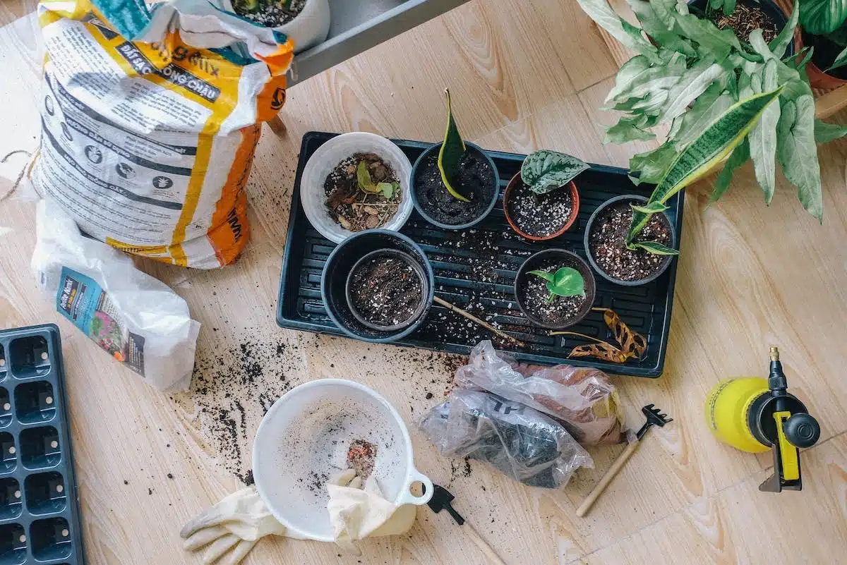 potager  économie