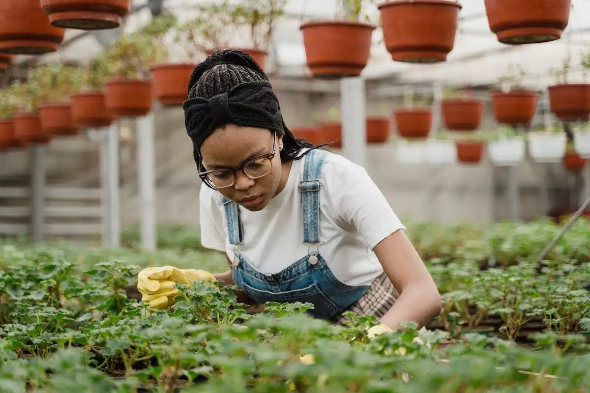 jardinage écologique