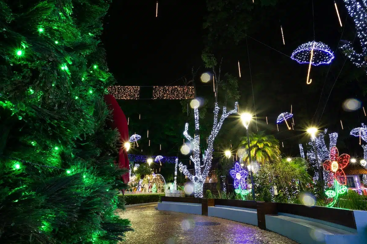 jardin illuminé