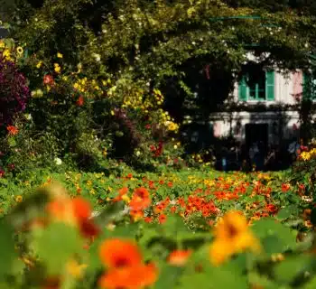 green trees and plants near white house during daytime