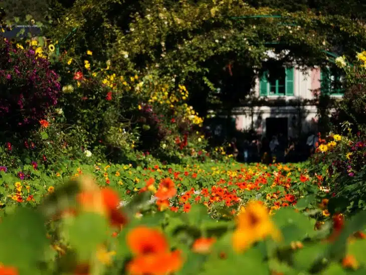 green trees and plants near white house during daytime