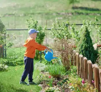 système d’irrigation