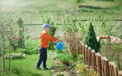 système d’irrigation