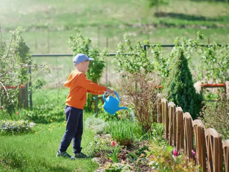 système d’irrigation