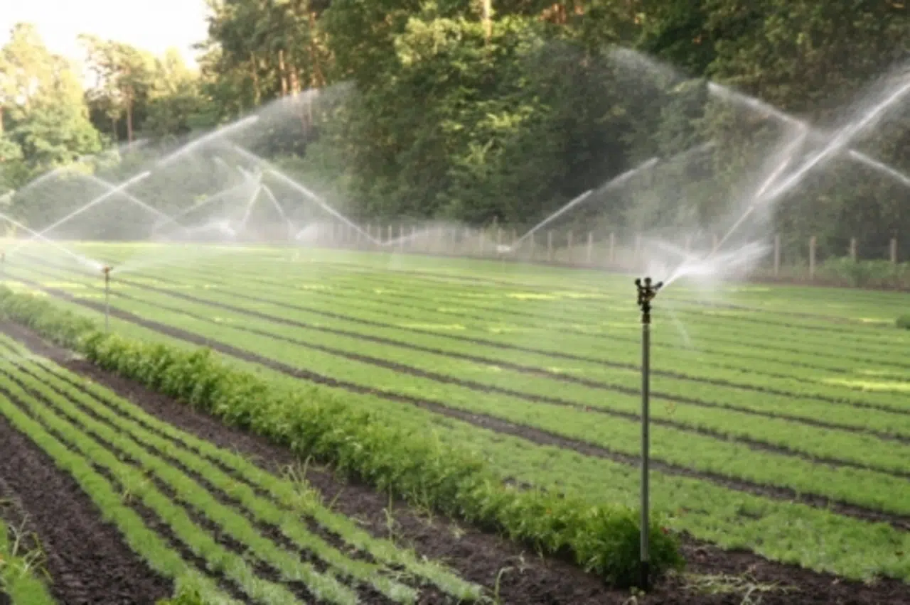 système d’irrigation