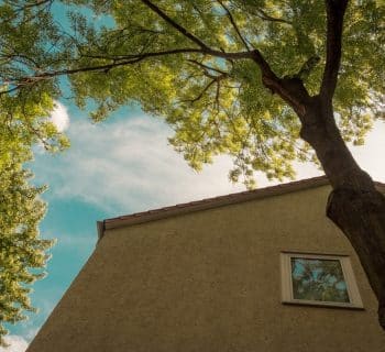 distance entre un arbre et une maison