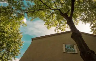 distance entre un arbre et une maison