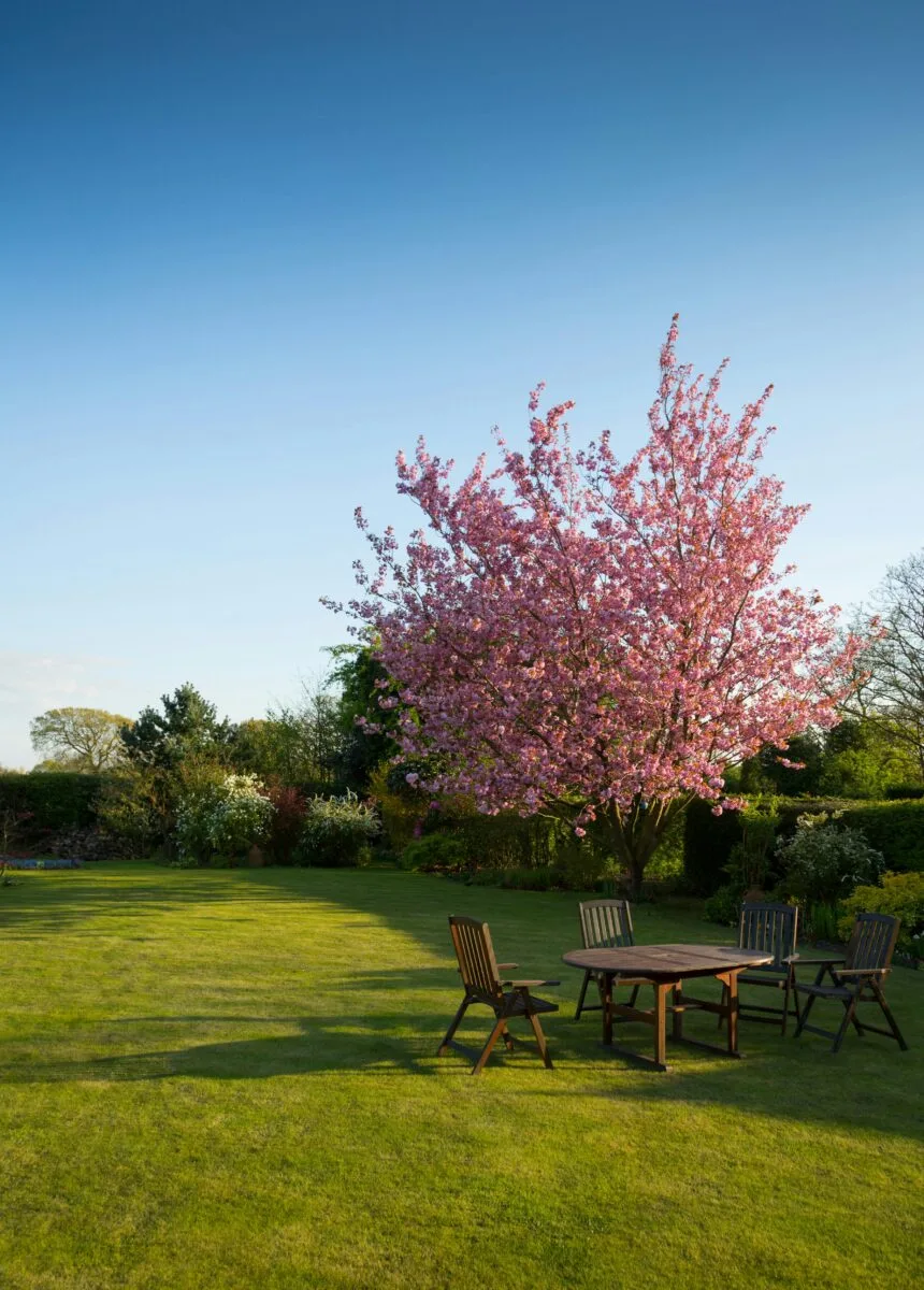 Mobilier de jardin moderne avec tables et chaises accueillantes